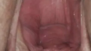 හැපී pulcino කුකුළු පැටියා සතුටක් සමග කෙළ වෙයි