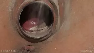 එළිමහනේ හරිත තණ කොළ මත වසන්ත ත්රිත්ව